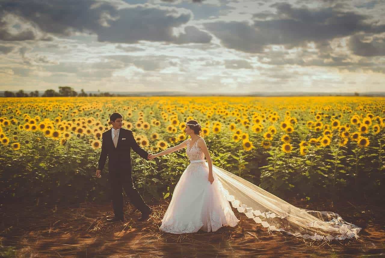 braut und bräutigam vor einem Sonnenblumenfeld hochzeit